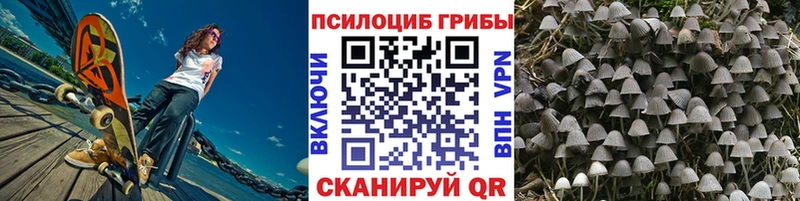 Галлюциногенные грибы прущие грибы купить закладку Спасск-Рязанский